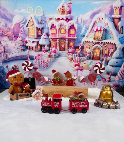 Mini Séance de Noel